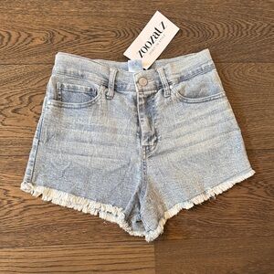 University of Kentucky jean shorts